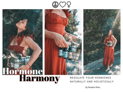 peace. love. hormones. eBook Hormone Harmony Cycle Syncing E-Book - Peace Love Hormones